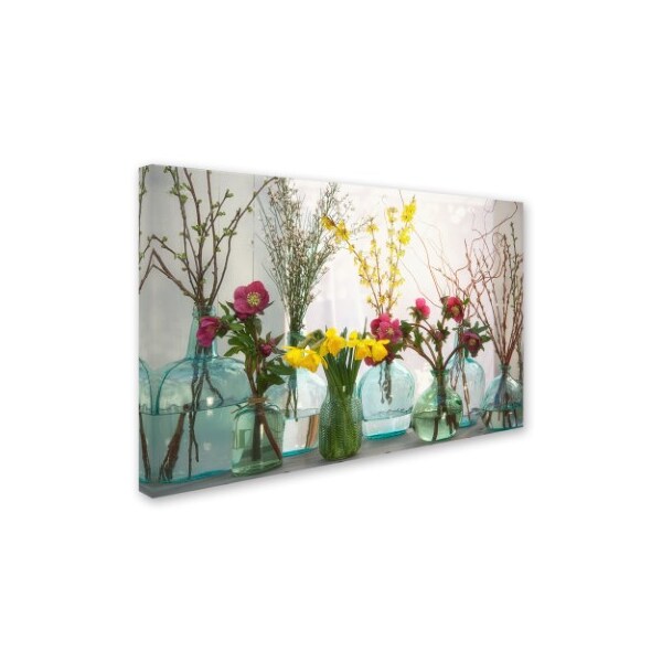 Cora Niele 'Spring Flowers In Glass Bottles I' Canvas Art,12x19